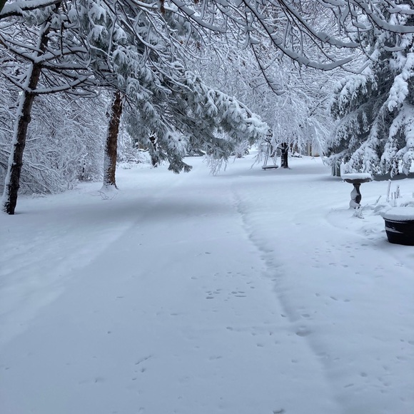 Meet your Posher, Kathleen - Picture 8 of 11